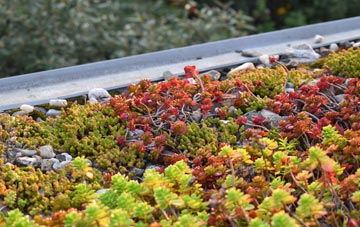 the cost of Long Melford green roof installation