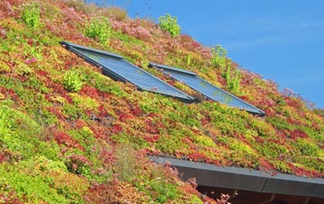 Long Melford living roof systems
